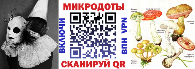 Псилоцибиновые грибы прущие грибы  Шлиссельбург 
